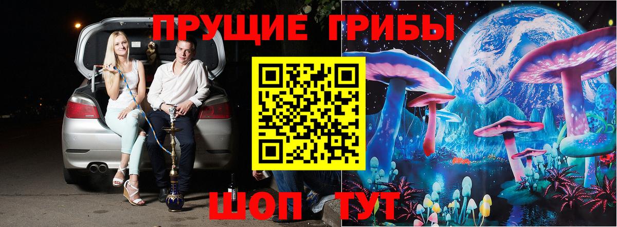 магазин    Вход с VPN  Отрадное  Галлюциногенные грибы мухоморы 